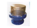 foot-valves-suppliers-in-kolkata-small-0