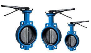 cast-iron-ci-valves-dealers-in-kolkata-big-0