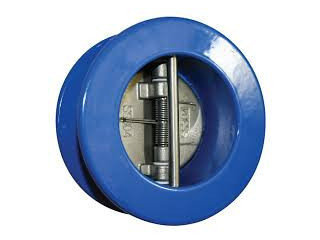 DUAL PLATE CHECK VALVES IN KOLKATA