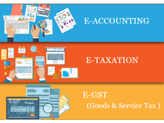 Accounting Course in Delhi 110037, SLA Accounting Institute, SAP FICO and Tally Prime Institute in Delhi, Noida