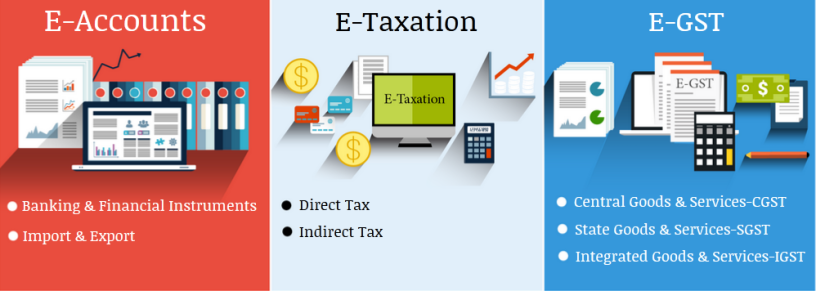 ai-vs-accountants-why-human-expertise-will-still-be-in-demand-in-2025-100-job-accounting-course-in-delhi-big-0